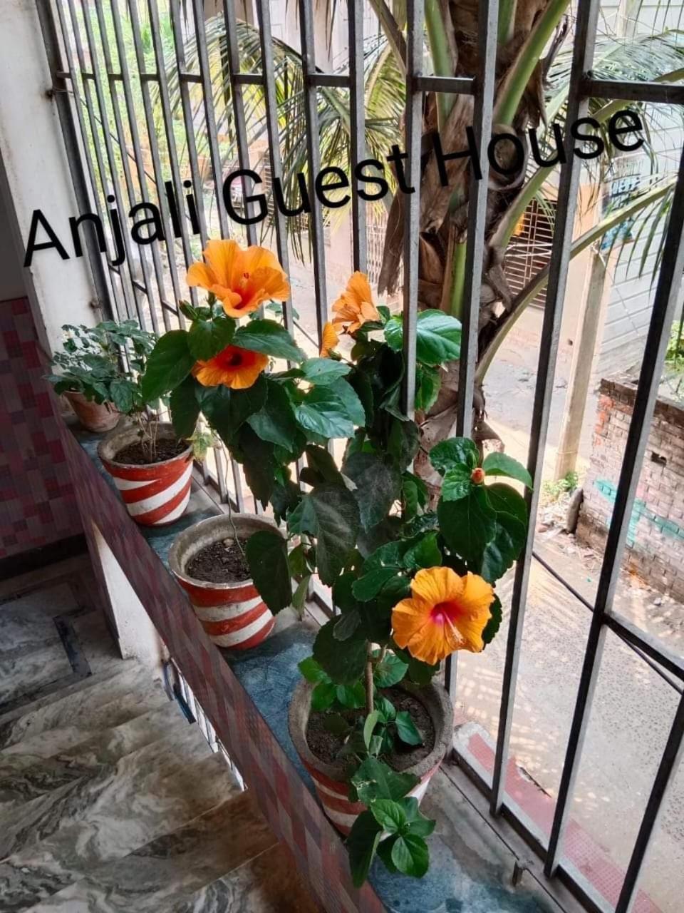 Anjali Guest House ديغا المظهر الخارجي الصورة